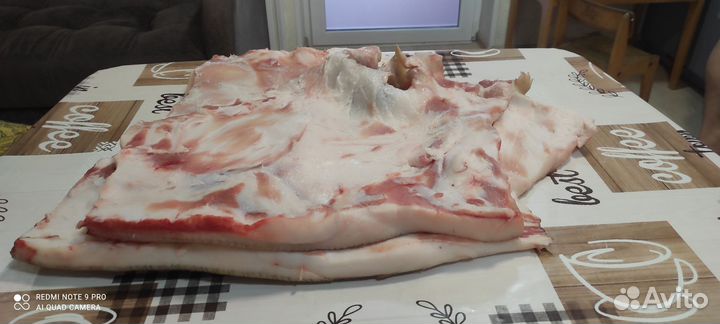 Сало свиное свежее