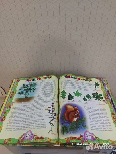 Большая энциклопедия дошкольника