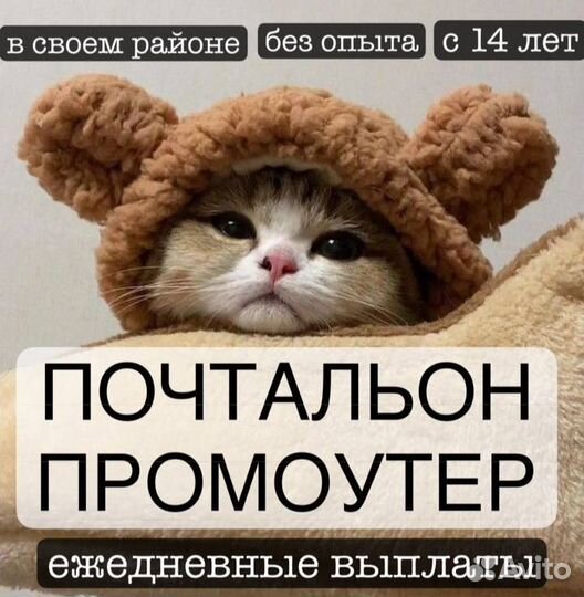 Промоутер Работа у дома