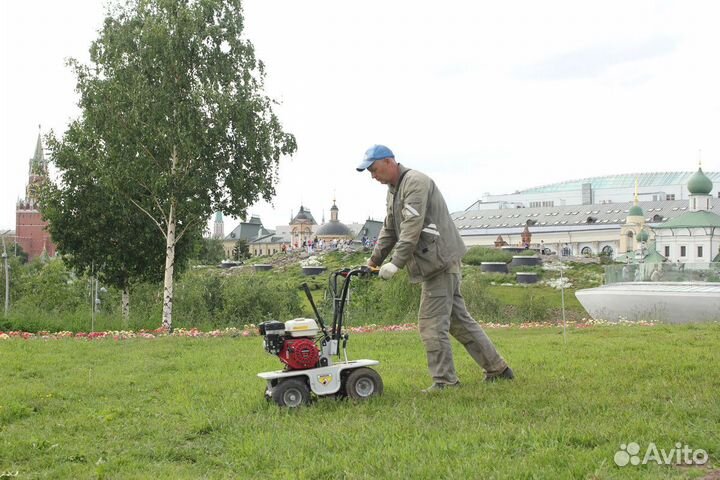 Рулонный газон под ключ