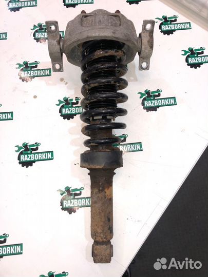 Стойка подвески задняя Volkswagen Touareg Gp GP