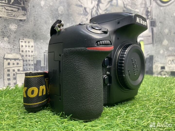 Nikon D800E 65.000 кадров