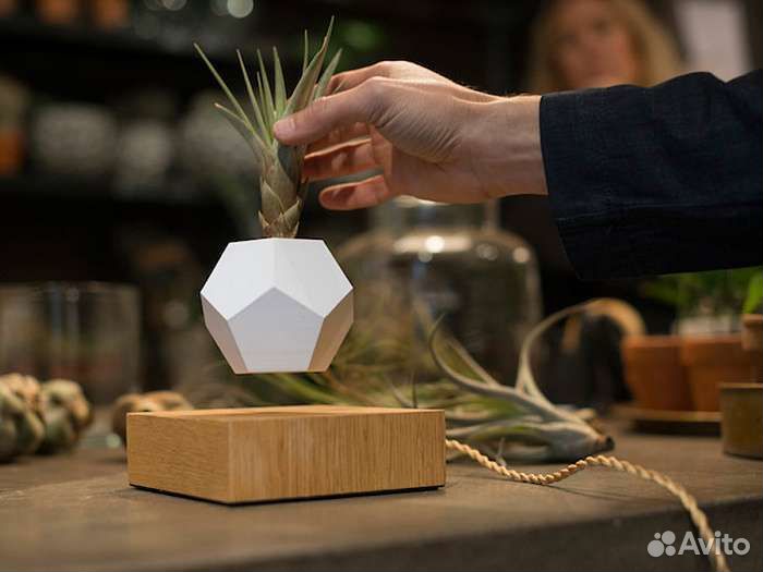 Левитирующий горшок lyfe