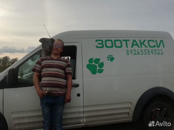 Зоо такси,перевозка животных
