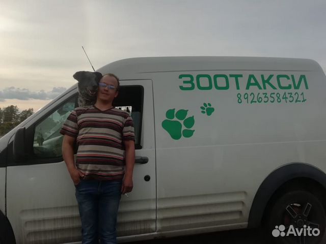 Зоо такси,перевозка животных