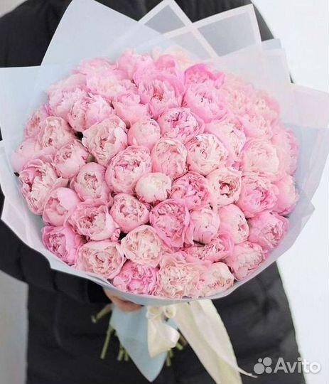 Пионы Букет