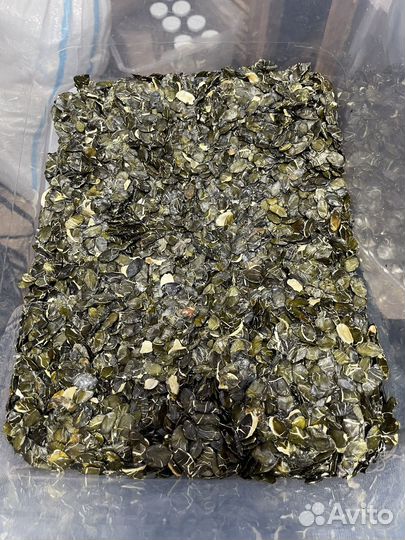 Жмых тыквенный