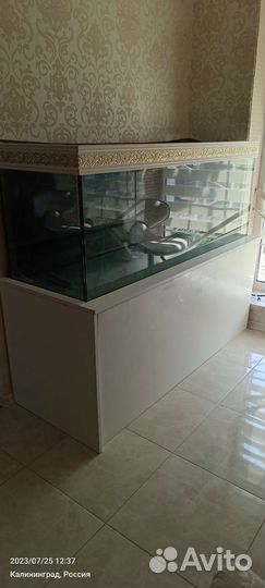 Аквариум с тумбой 500 литров