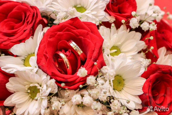 Фотограф Видеограф