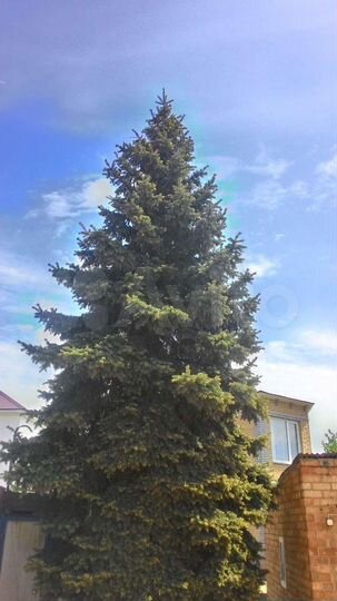 Дом 100 м² на участке 2 сот.