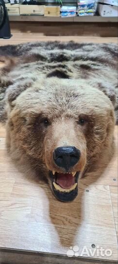 Шкура медведя имитация