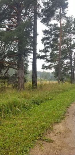 Участок 27 сот. (ИЖС)