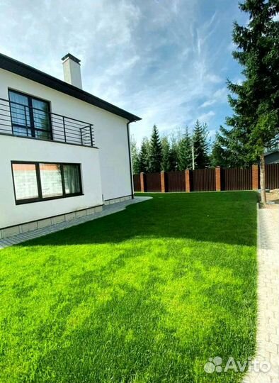 Рулонный газон 