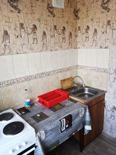 1-к. квартира, 21,8 м², 5/5 эт.