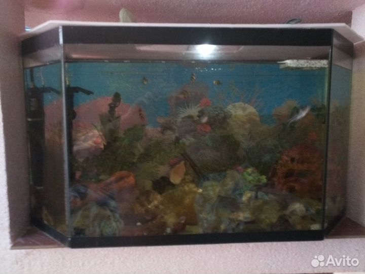 Аквариум