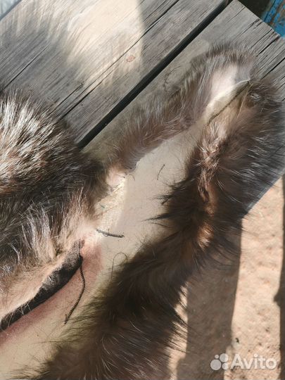 Меховой воротник чернобурка