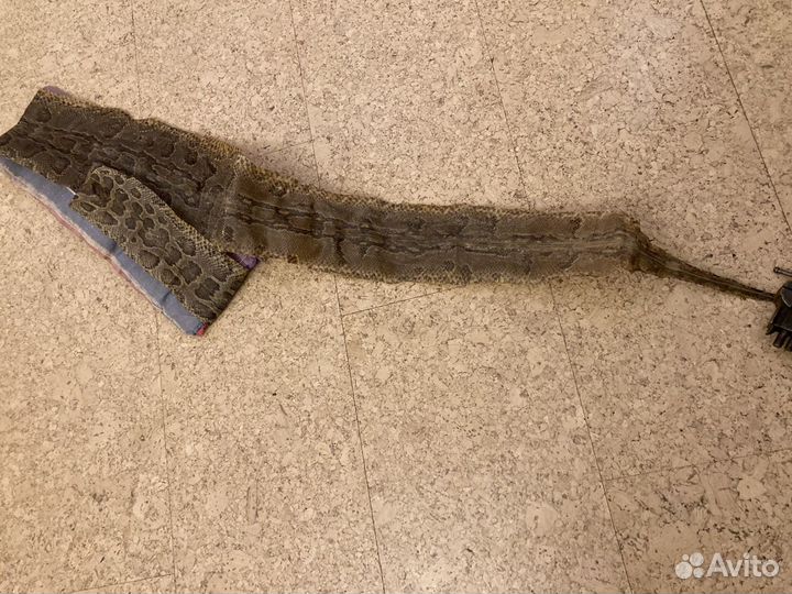 Шкура питона