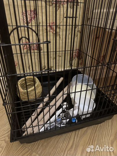 Клетка для попугая бу