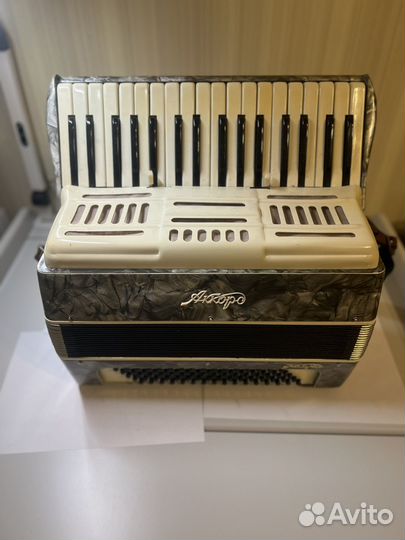 Аккордеон детский