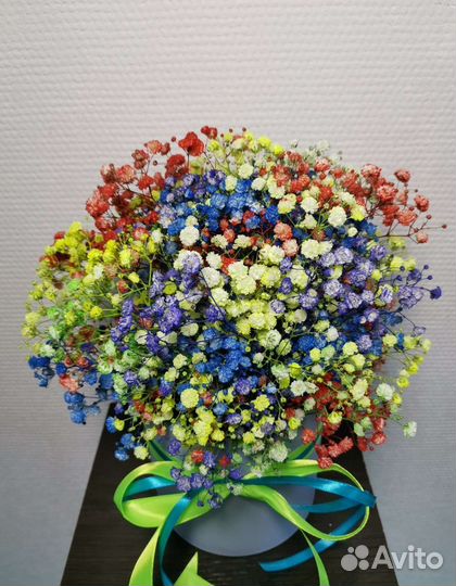 Гипсофила радужная