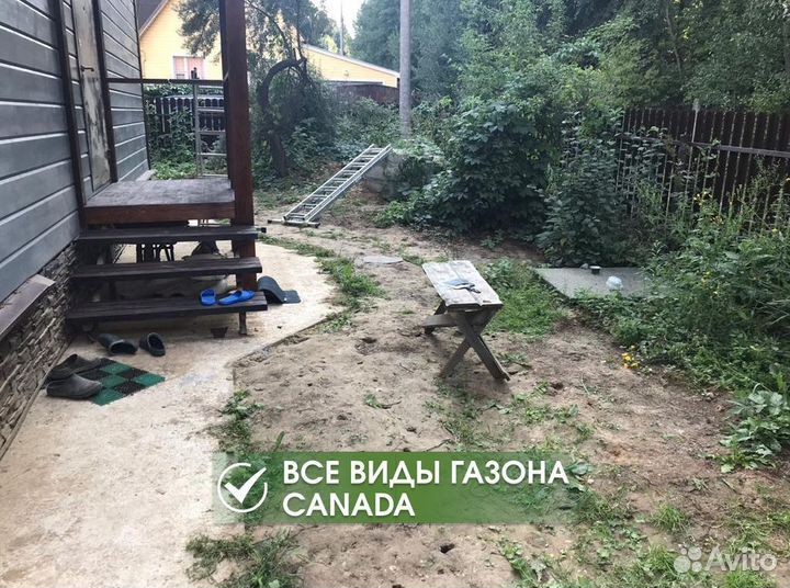 Рулонный газон с доставкой