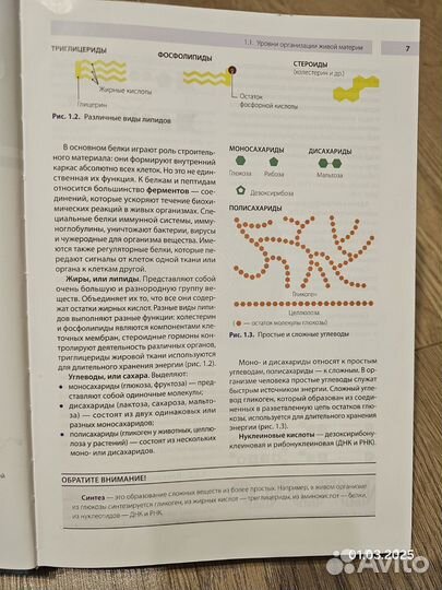 FPA Основы анатомии, физиологии и биомеханики
