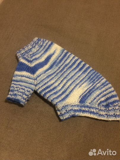 Одежда для кошек