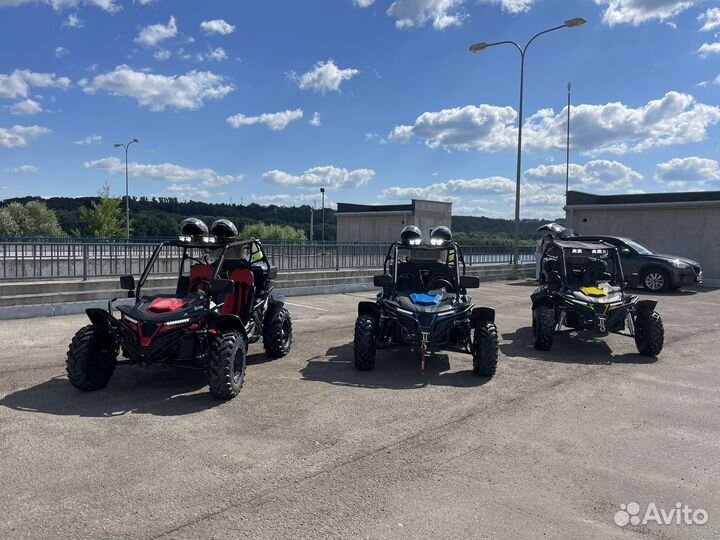 Прокат багги