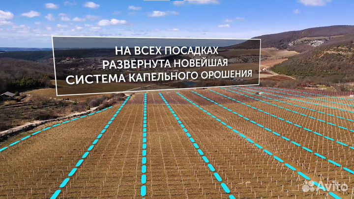 Аэросъемка с квадрокоптера