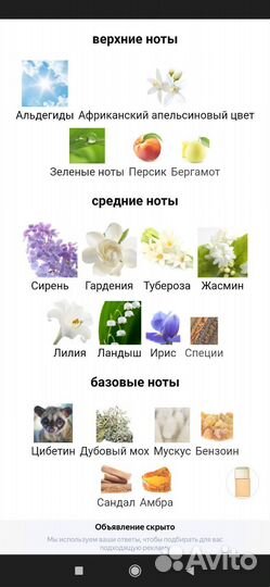 Evyan, White Shoulders