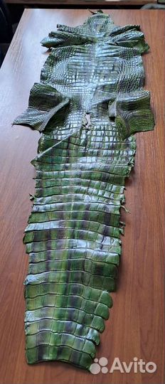 Шкура Аллигатора