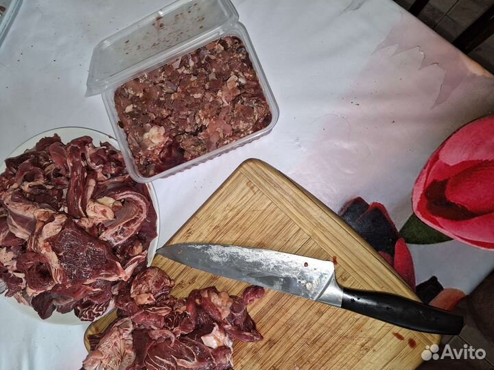 Корм для животных