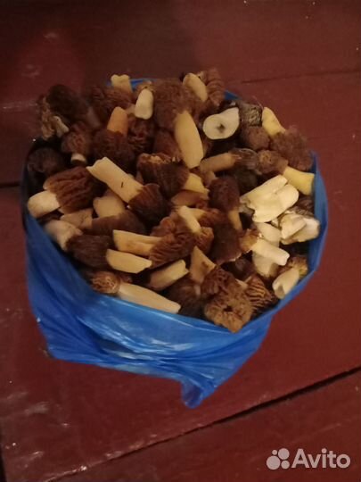 Грибы свежие сморчки