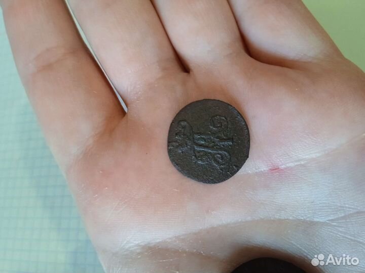 Полушка и денга