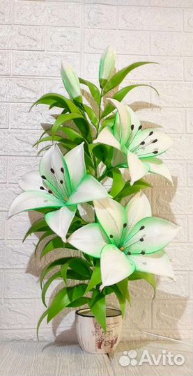 Цветы интерьерные