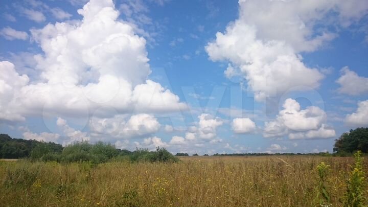 Участок 8 сот. (ИЖС)