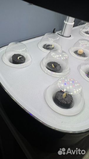 Умный сад с фитолампой и автополивом