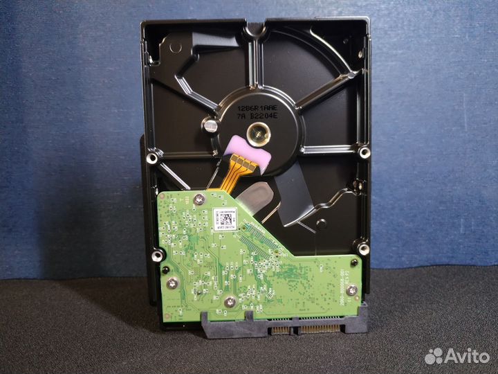 Жесткий диск 1 тб WD Blue