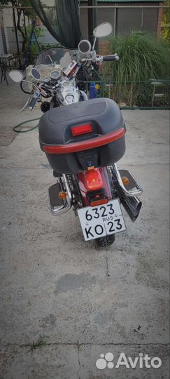 Irbis BS250-4 Garpia
