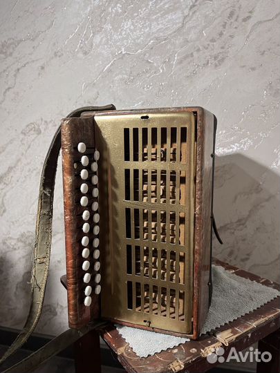 Гармонь Кубань