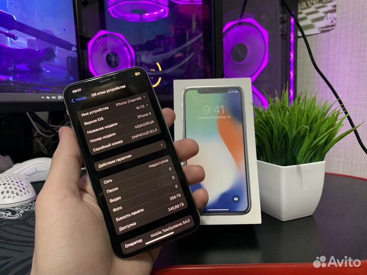 iPhone X, 256 ГБ