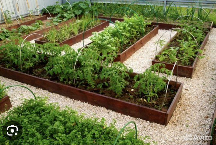 Деревянные грядки
