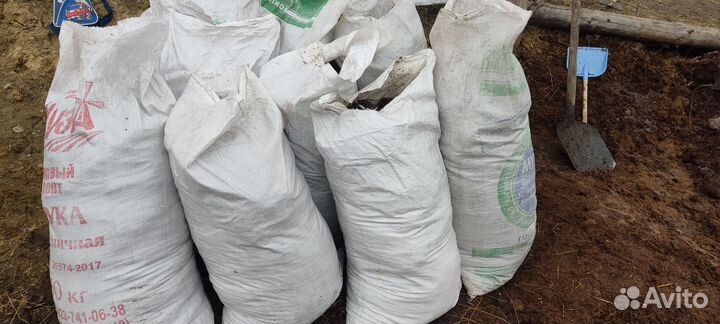 Продам конский навоз