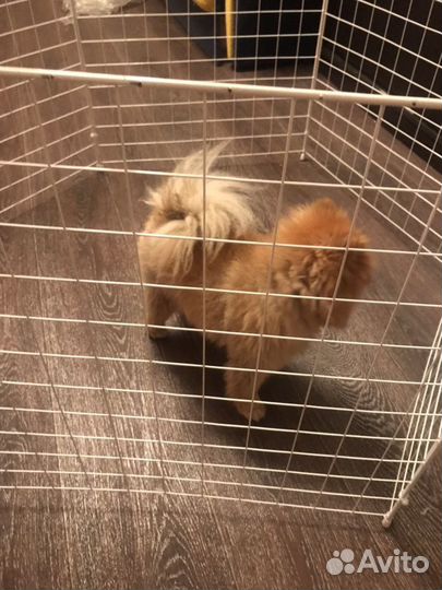 Загородка для животных