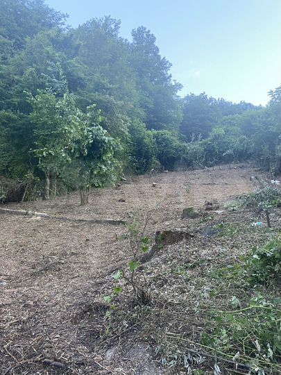 Участок 7,7 сот. (СНТ, ДНП)