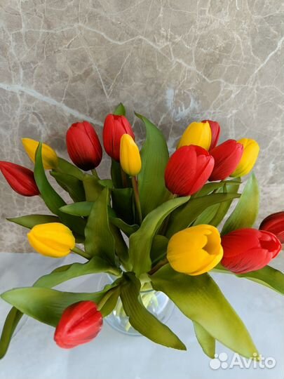 Тюльпаны