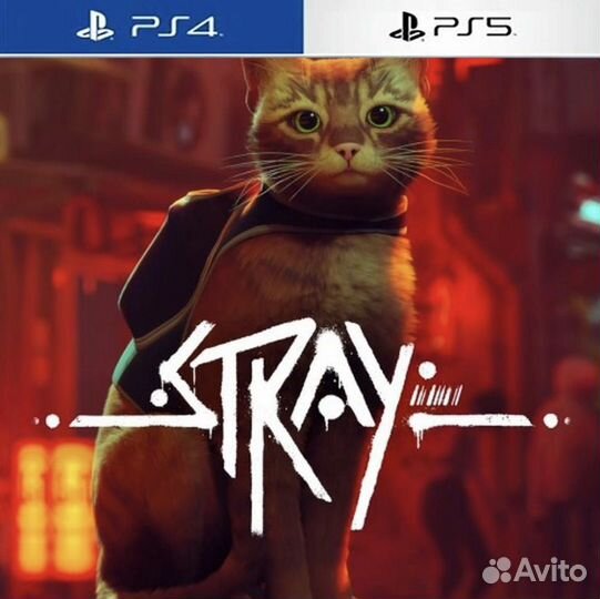 Stray (PS4/PS5)