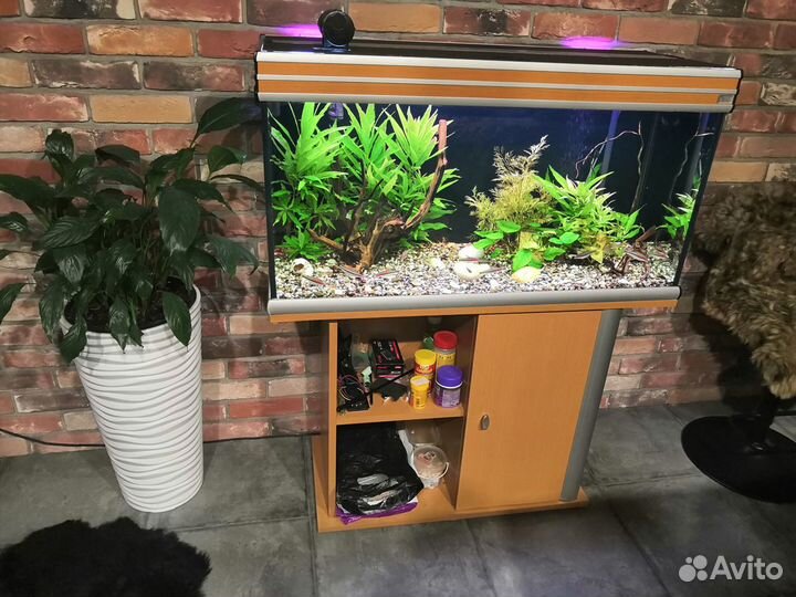 Аквариум 220л