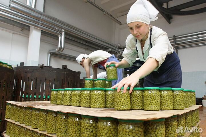 Вахта с жильем и 3х питанием. Упаковщики солений