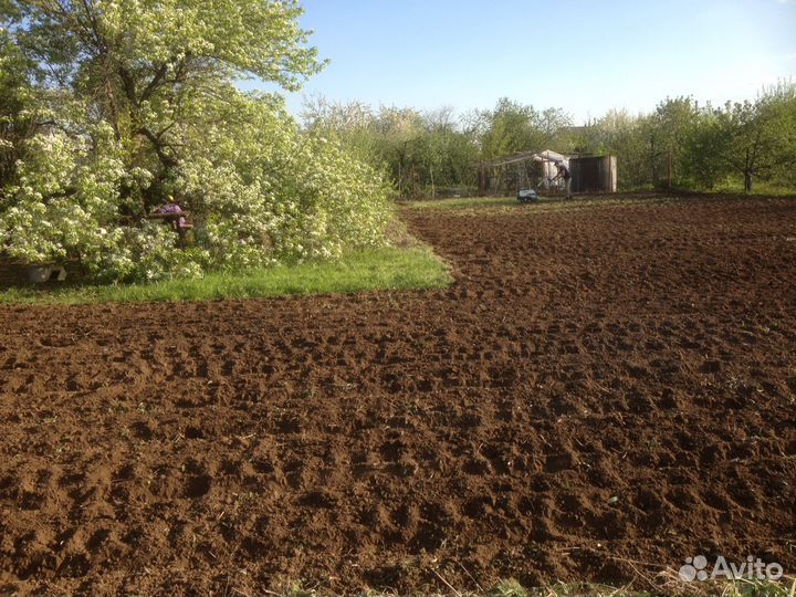 Перекопка, спил, скос, опрыскивание, выкорчевка, с